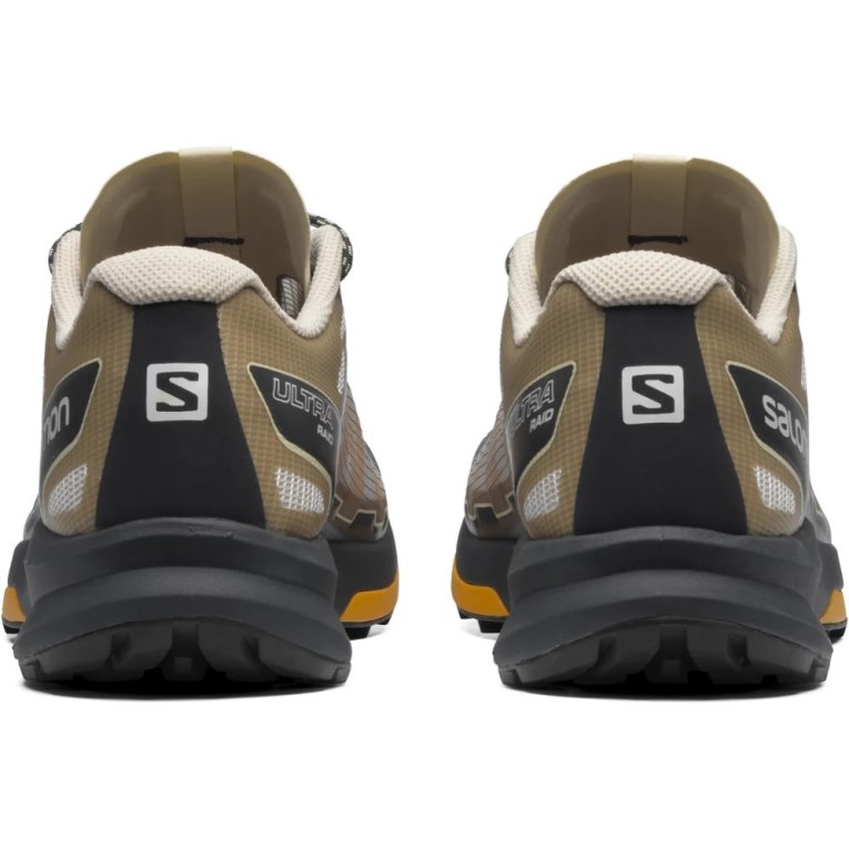 Black / Grey / Brown Salomon Ultra Raid Men's Sneakers | IE EJ9502